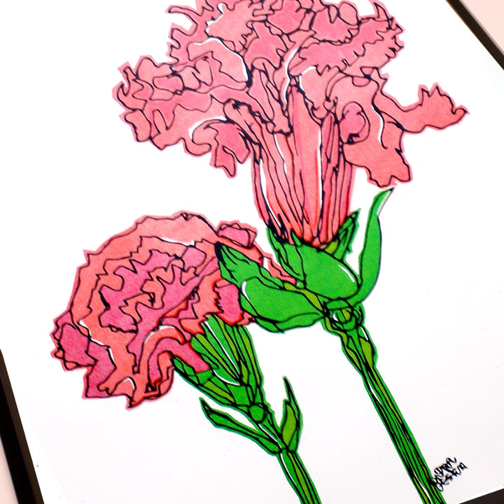Pink carnation No.189